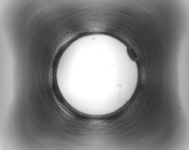 X0000103420677200810031331
