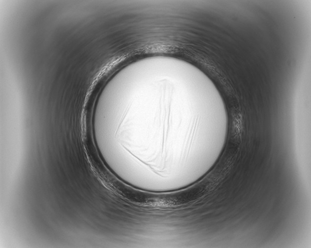 X0000103420678200810031331