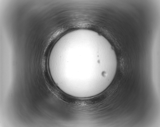 X0000103420679200810031331