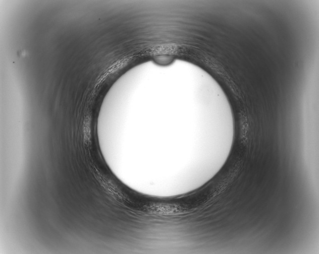 X0000103420681200810031331