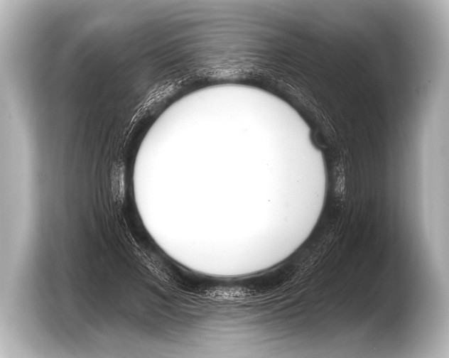 X0000103420685200810031331