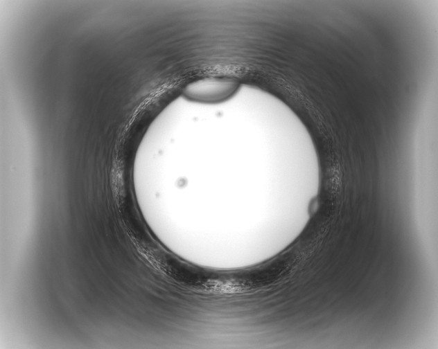 X0000103420688200810031331