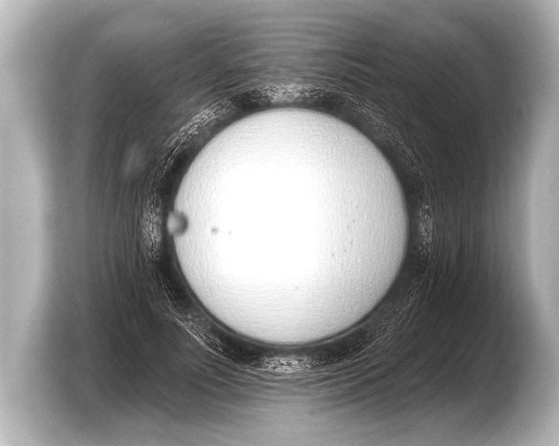 X0000103420691200810031331