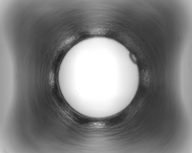 X0000103420692200810031331
