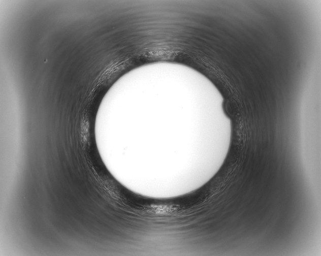X0000103420693200810031331