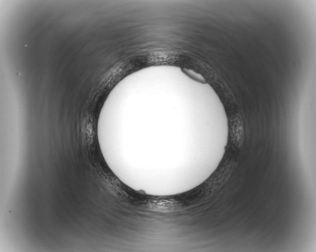 X0000103420716200810031331