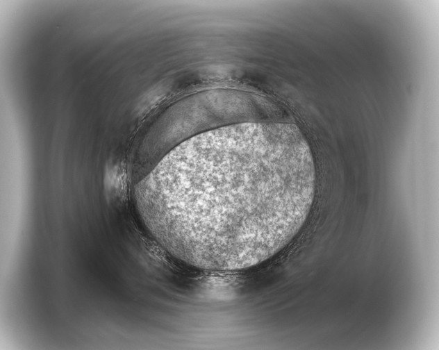 X0000103420720200810031331
