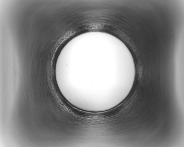 X0000103420721200810031330