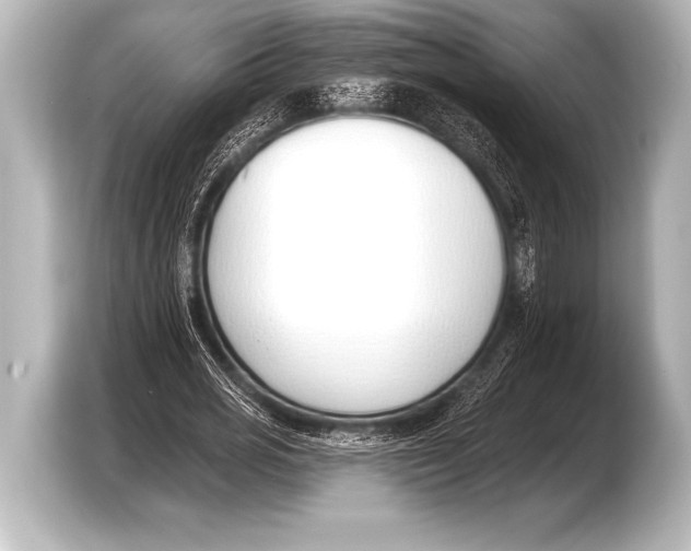 X0000103420725200810031330