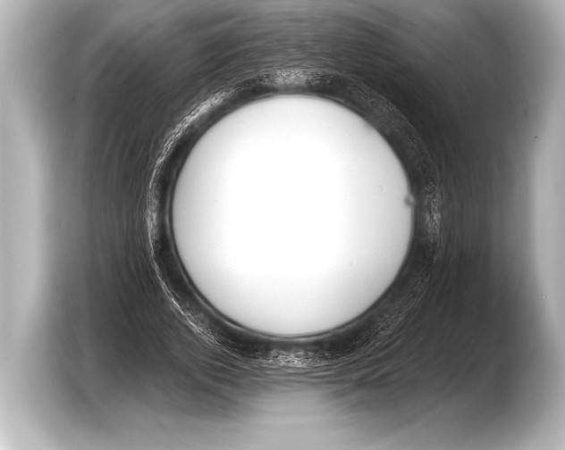 X0000103420728200810031330