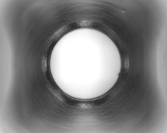 X0000103420733200810031330