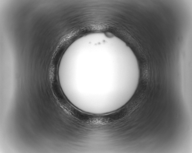 X0000103420736200810031330