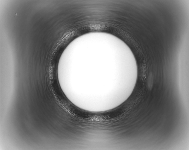 X0000103420738200810031330