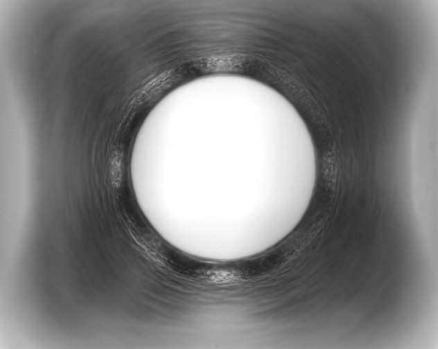 X0000103420741200810031330