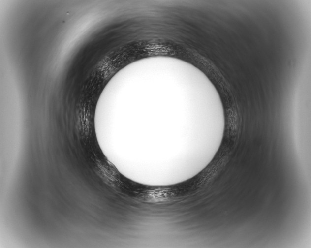 X0000103420761200810031331