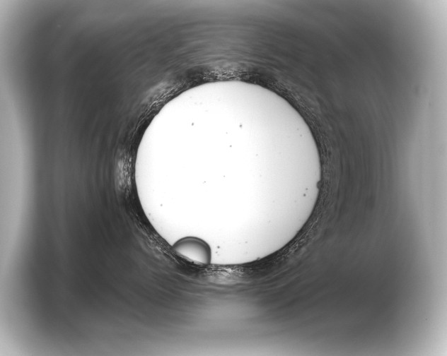 X0000103420768200810031331