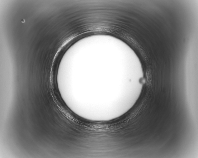 X0000103420780200810031330