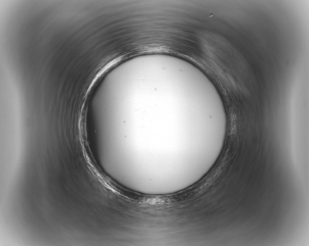 X0000103420806200810031330