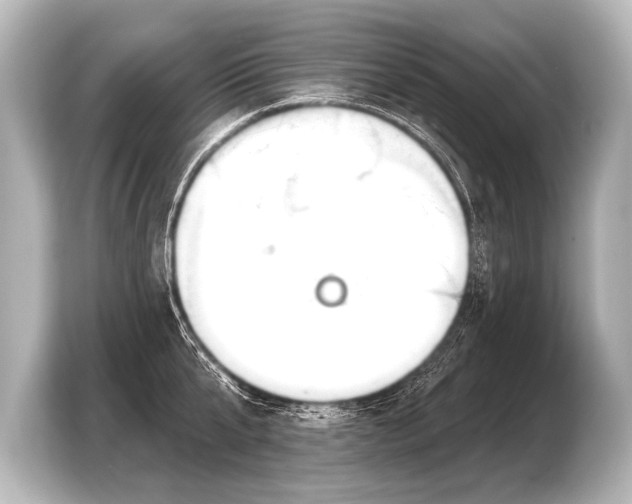 X0000103420807200810031329