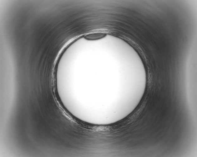 X0000103420808200810031329