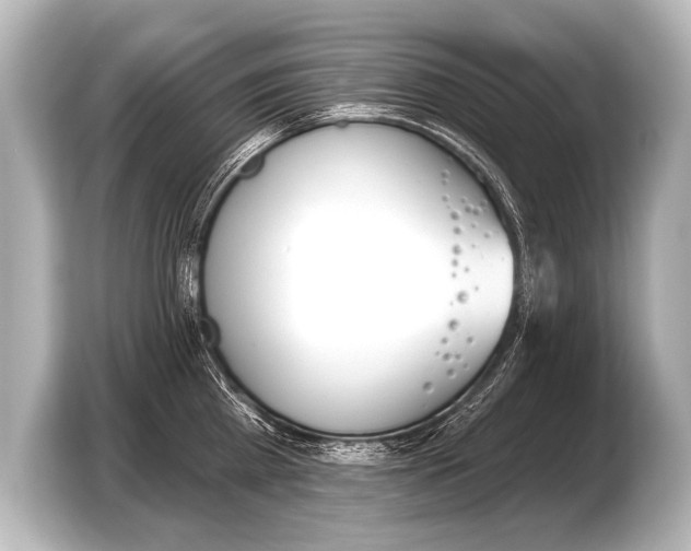 X0000103420809200810031329