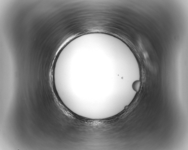 X0000103420814200810031329