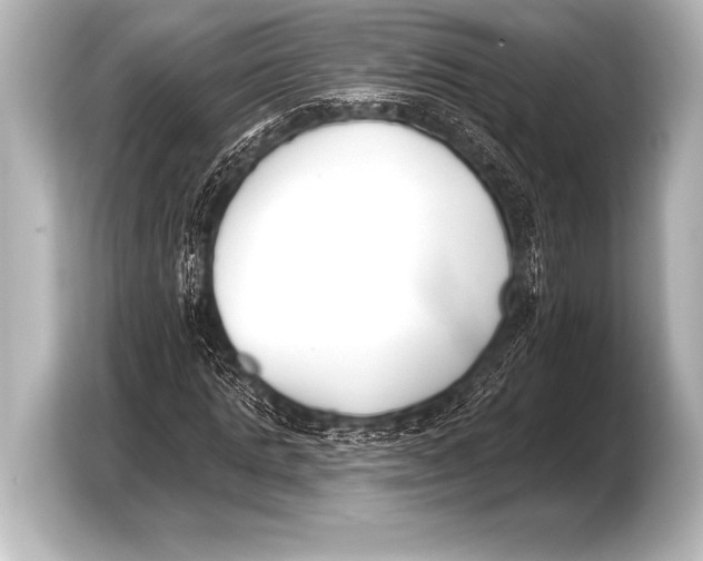 X0000103420821200810031329
