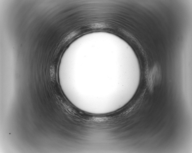 X0000103420825200810031329