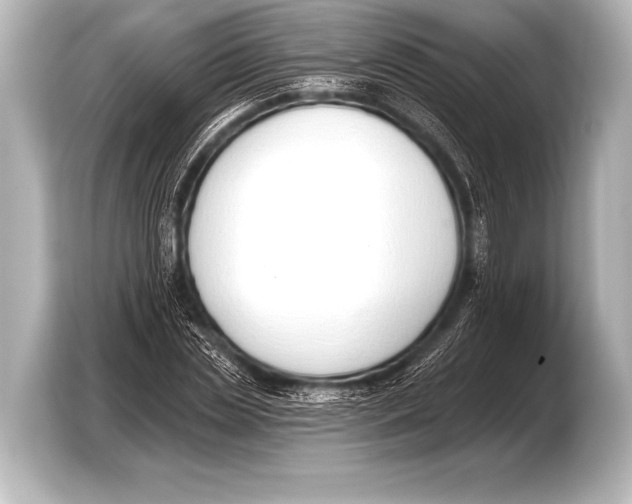X0000103420829200810031329