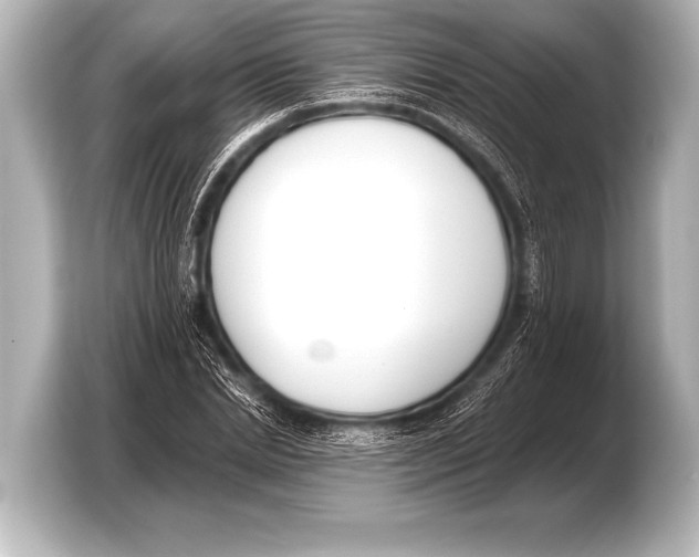 X0000103420830200810031329