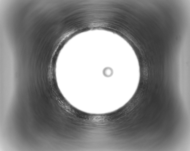 X0000103420832200810031329