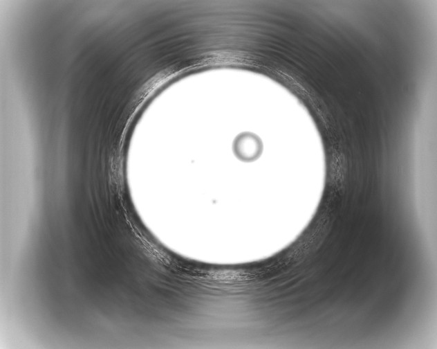 X0000103420836200810031329