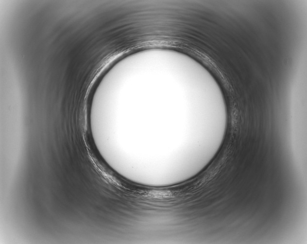 X0000103420844200810031329