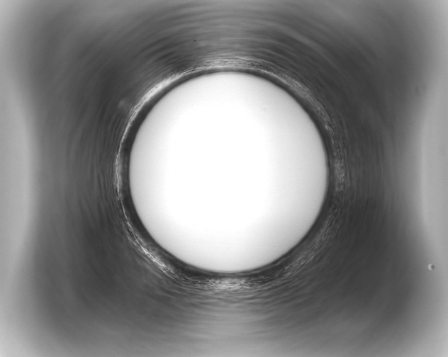 X0000103420846200810031329