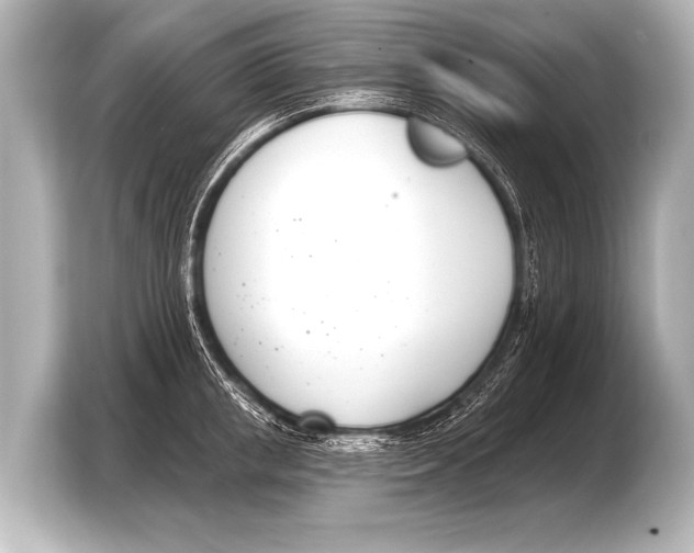 X0000103420853200810031329