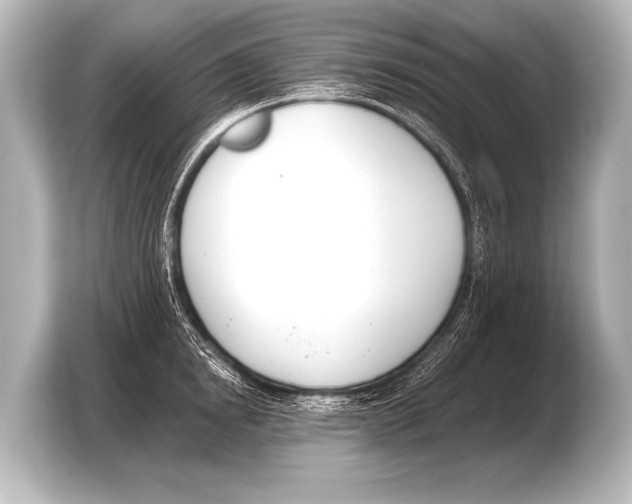 X0000103420854200810031329