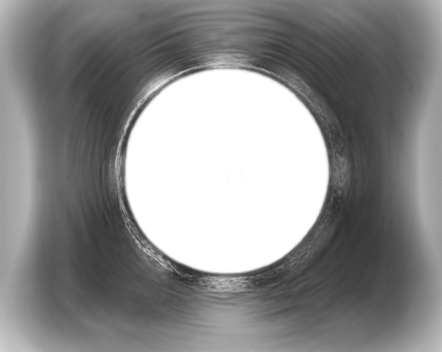 X0000103420856200810031329