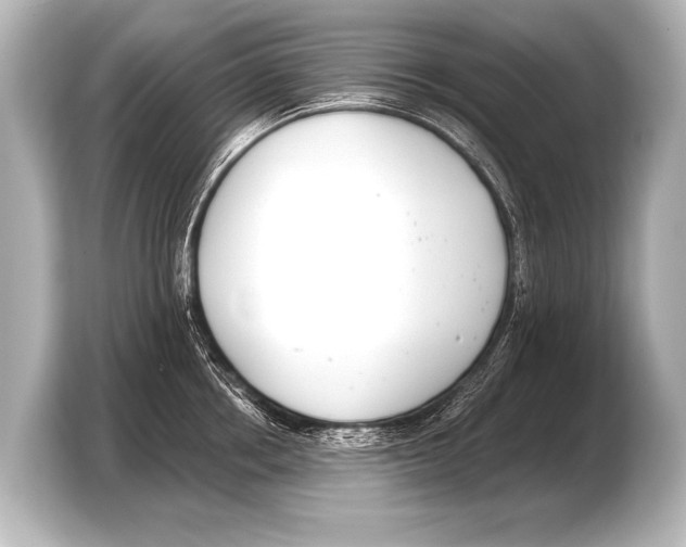 X0000103420858200810031329