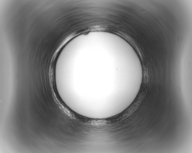 X0000103420859200810031329