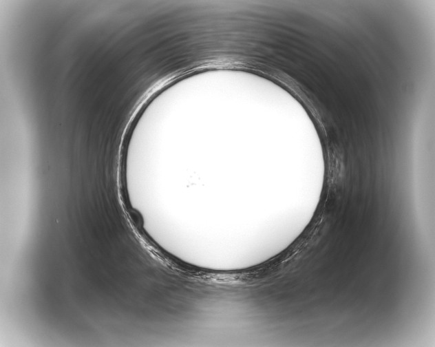 X0000103420861200810031329