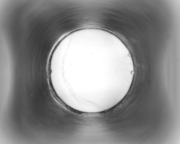 X0000103420864200810031329