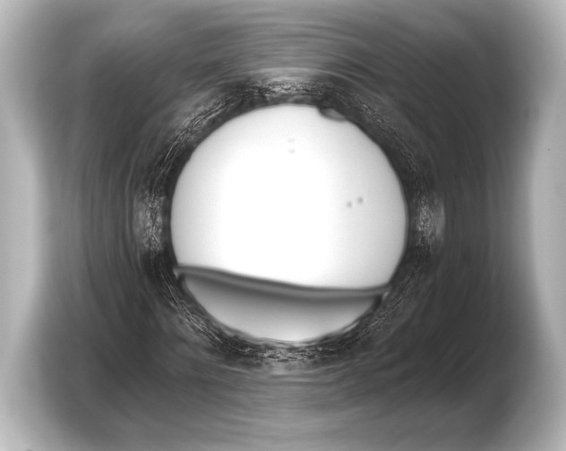X0000103420868200810031329