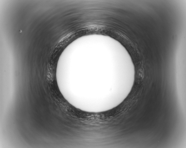 X0000103420869200810031329