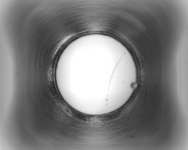 X0000103420875200810031329