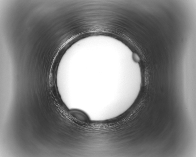 X0000103420876200810031329