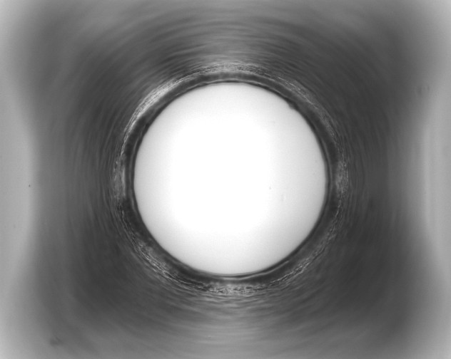 X0000103420877200810031329