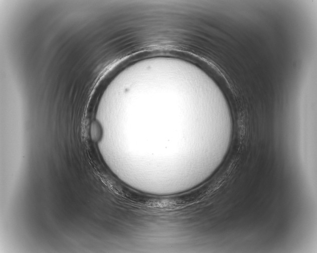 X0000103420879200810031329