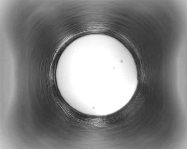 X0000103420883200810031329