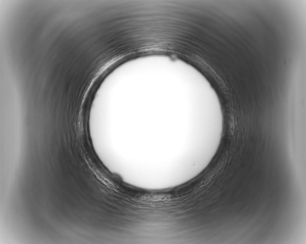 X0000103420884200810031328