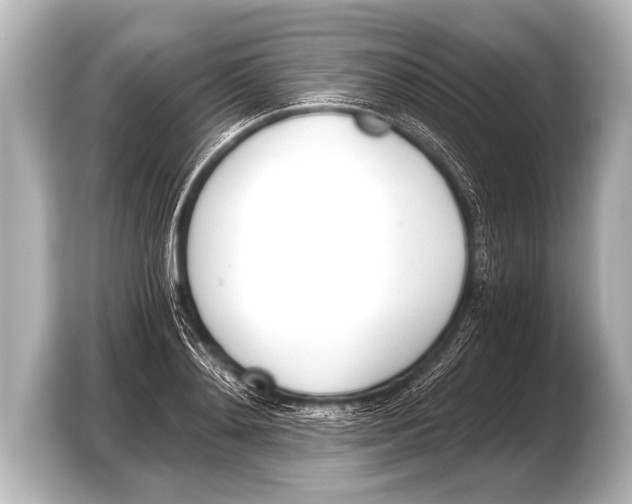 X0000103420892200810031328